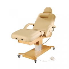 Luxury Massage Electric Medical Beauty Cosmetic Bed | Deluxe Massage Table Backrest