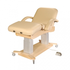 Luxury Massage Electric Medical Beauty Cosmetic Bed | Massage Table Backrest