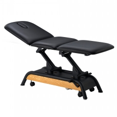 Multi Function Electric Examination Table Treatment Bed Hospital Therary Bed-Milton Avalon