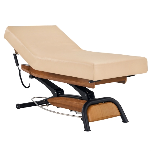GoodWill Spa Lifback Spa Electric Table