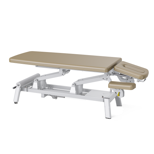 Echo-Basic Multi-functional Electric Treatment Table Physiotherapy Bed