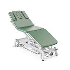 Echo-Danvers Multi-functional Electric Physical Therapy Bed