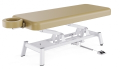 Echo Flat Salon Top Electric Massage Table