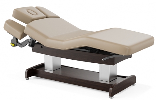 Union Salon Top Spa Treatment Table Dual Lift Salon Spa Couch