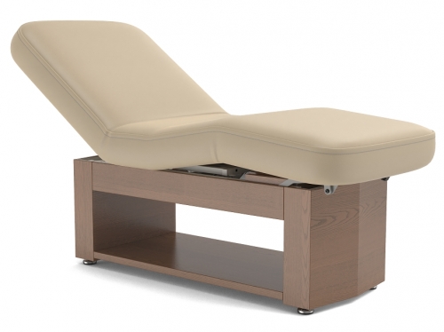 Alexander Deluxe Multi-Purpose SPA Treatment Table w/Replaceable PU Cover