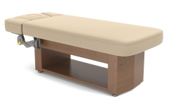 Alexander Salon Top 4 Motors Medi-Spa Treatdment Table Couch