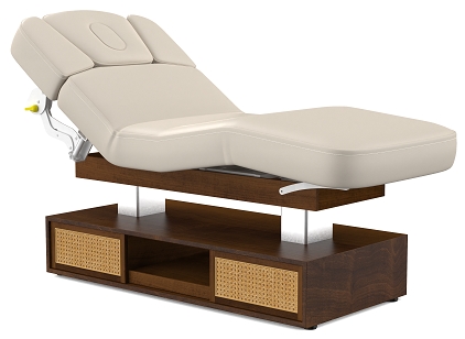 Westwood Dual Column Fully Electric Medi-Spa Treatment Table