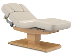 Olivia Salon Top Electric Medi Spa Treatment Table with Rotatable Front Armrest