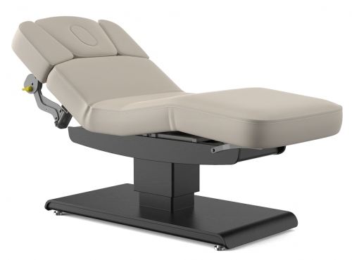 Olivia Salon Top Electric Medi Spa Treatment Table with Rotatable Front Armrest