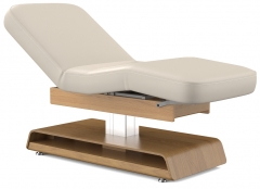 Princeton Deluxe Electric Spa Treatment Table Medical Spa Bed