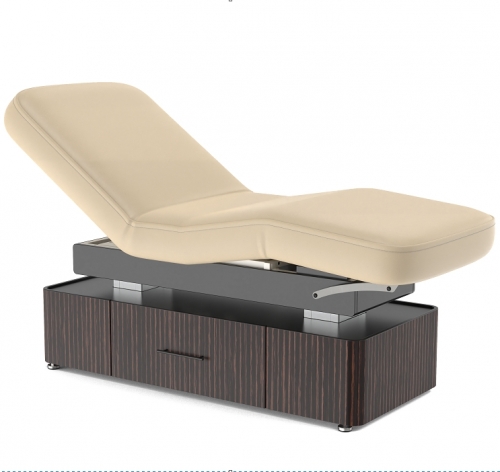 Infinity Salon Double Columns Electric Spa Bed Medical Treatment Table