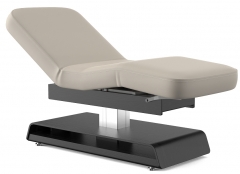 Princeton Deluxe Electric Spa Treatment Table Medical Spa Bed