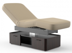 Fremont Deluxe Single Column Pedestal Electric Lift Massage Table Spa Bed