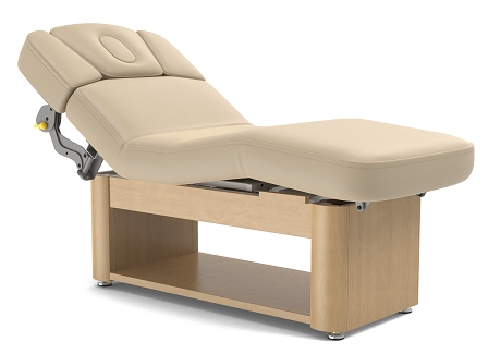 Yosemite Salon Cabinet Electric Lift Spa Bed Facial Treatment Table