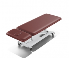 Royal Basic Electric Examination Table Treatment Bed