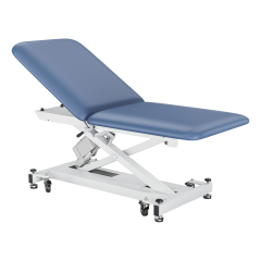 Athena Russel 2 Section Electric Examination Table Treatment Couch