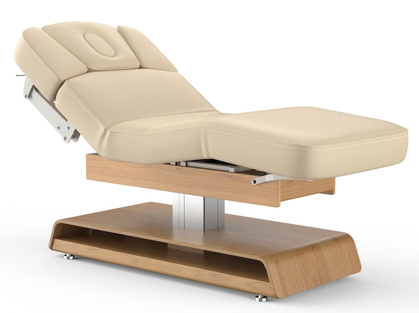 Priceton Electric Spa Treatment Table Salon Massage Bed Couch