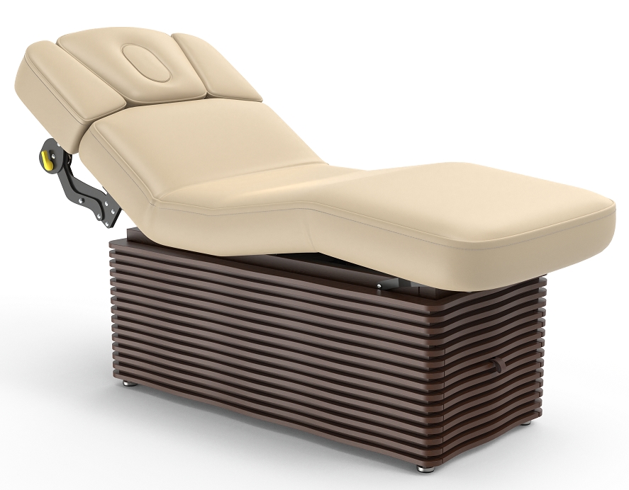 Ness-D Electric Spa Treatment Table Esthician Bed Massage Couch
