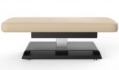 Princeton Flat Salon Top Electric Spa Table Massage Bed