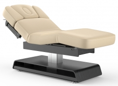 Princeton Salon Top Electric Medi-Spa Treatment Table Powerlift Massage Bed