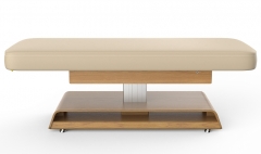 Princeton Flat Salon Top Electric Spa Table Massage Bed