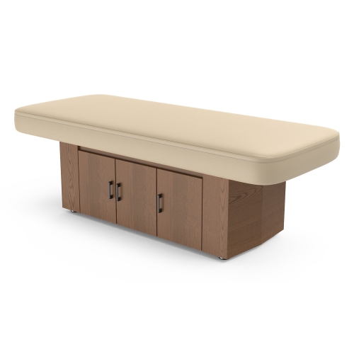 Alexander-B Electric Medical Spa Table Powerlift Massage Table