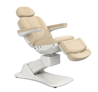 Morley Luxury Full Electrical Beauty Bed Facial Treatment Chair Exam Dental Chair  Couch