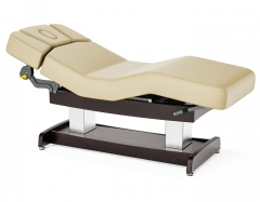 Union Salon Top Spa Treatment Table Dual Lift Salon Spa Couch