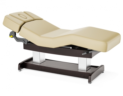 Union Salon Top Spa Treatment Table Dual Lift Salon Spa Couch