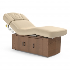 Alexander-B Multi-purpose Fully Electric Spa Treatment Table Massage Bed