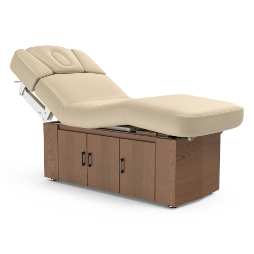 Alexander-B Multi-purpose Fully Electric Spa Treatment Table Massage Bed