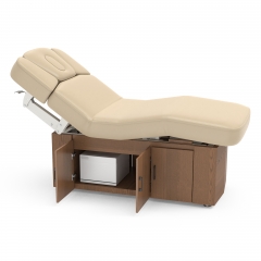 Alexander-B Multi-purpose Fully Electric Spa Treatment Table Massage Bed