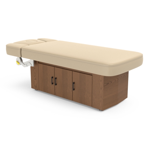 Alexander-B Cabinet Electric Spa Treatment Table
