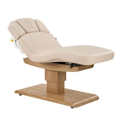 Olivia Salon Top Electric Medi Spa Treatment Table with Rotatable Front Armrest