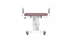 Royal Electric Hi-Lo Changing Table