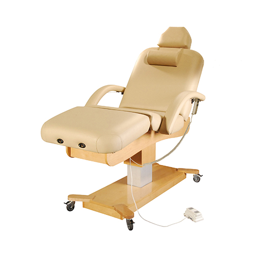 Luxury Massage Electric Medical Beauty Cosmetic Bed | Deluxe Massage Table Backrest