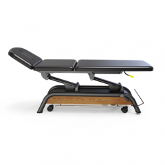 Physiotherapist Recommend Electric Milton Cabell Treatment Tables 3 Sections Couch with Angle Adjustment Table