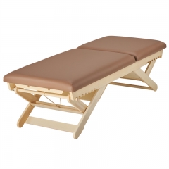 Boast Tilt Boast Flat Luxury Beauty Salon Furniture Wooden Spa Facial Bed Massage Bed Table