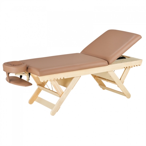 Boast Tilt Boast Flat Luxury Beauty Salon Furniture Wooden Spa Facial Bed Massage Bed Table