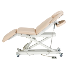 Royal Spa Electric Treatment Table