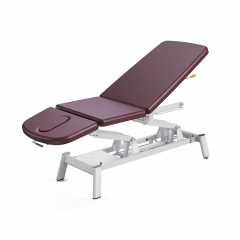 Echo-Cabell Multi-functional Electric Medical Clinic Bed