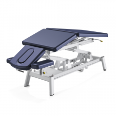 Echo-Infinity Multi-functional Electric Examination Bed