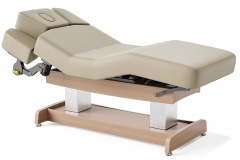 Union Salon Top Spa Treatment Table Dual Lift Salon Spa Couch