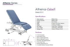 Athena Cabell 3-Section Electric Lift Treatment Table Couch