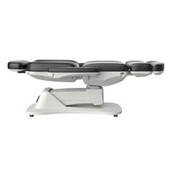 Morley 431 Custom Color Electric Facial Bed Electric Beauty Chair Salon Furniture Wholesale Supplier