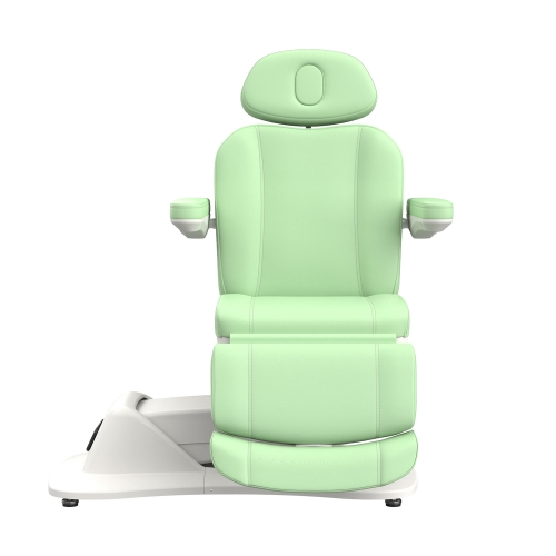 Morley 471 Luxury Full Electric Facial Chair Spa Massage Bed High End Beauty Salon Furniture Factory