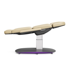 Rockstar Series Wholesale Electric Facial Beauty Chair Cosmetology Treatment Bed for Beauty Clinics