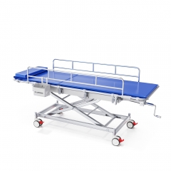 Hemet Medical Shower Trolley | Delma BathCare Patient Bathing Bed